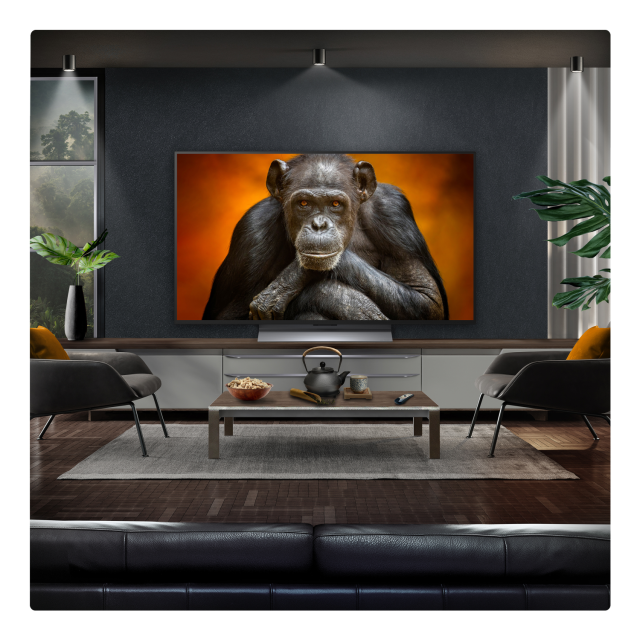 LG OLED48G56LS.AEK OLED evo AI G5 48inch 4K Smart TV